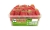 Haribo Giant Strawbs Strawberry Sweets 1056g Tub